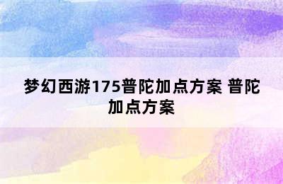 梦幻西游175普陀加点方案 普陀加点方案